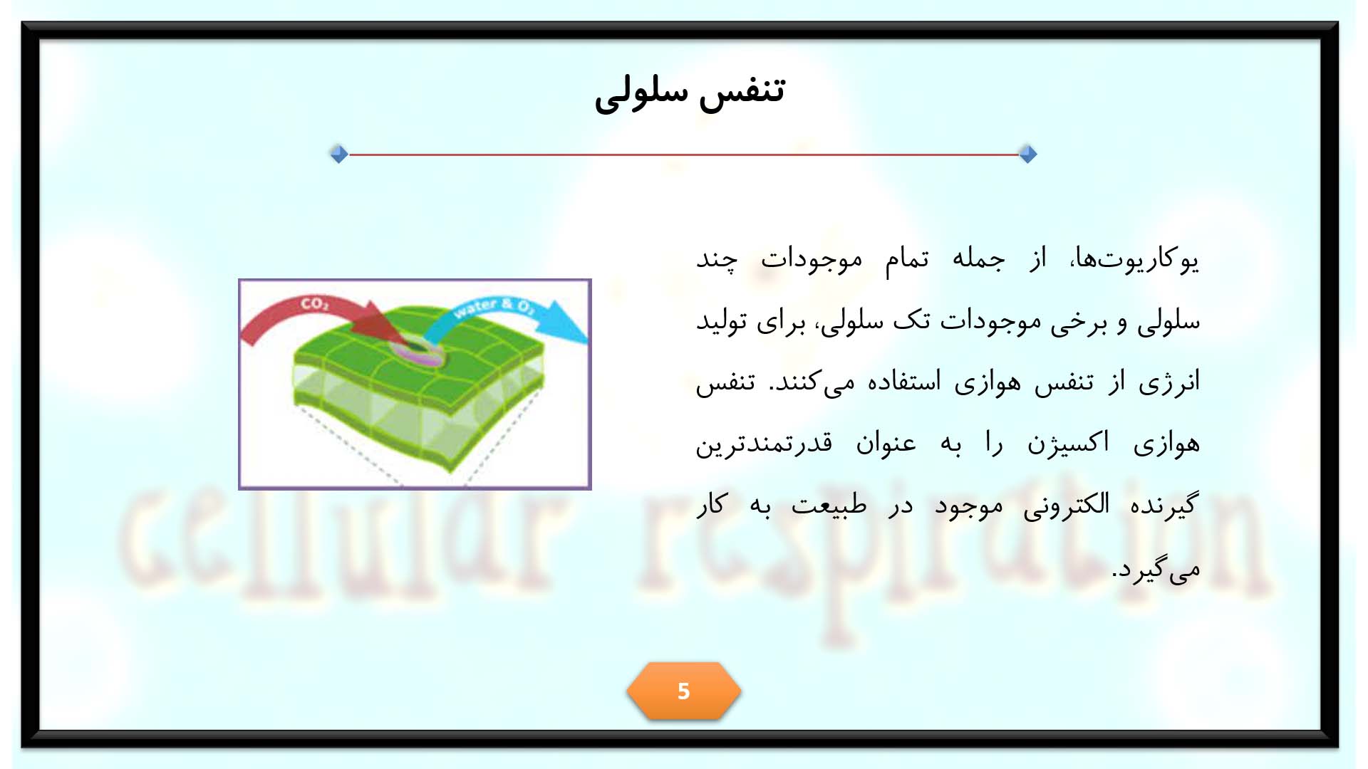 پاورپوینت در مورد تنفس سلولی 